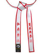 Deluxe Satin Silver Master Belt with Red Border